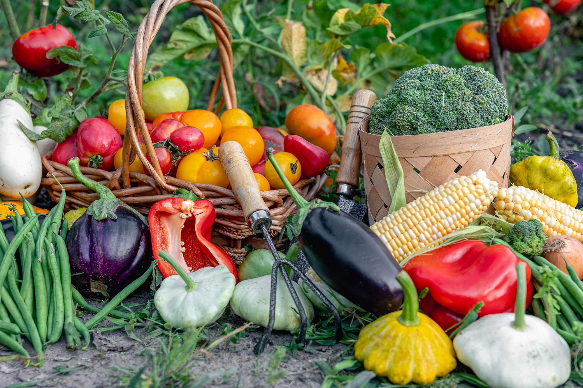 A Garden Vegetable For Every Occasion