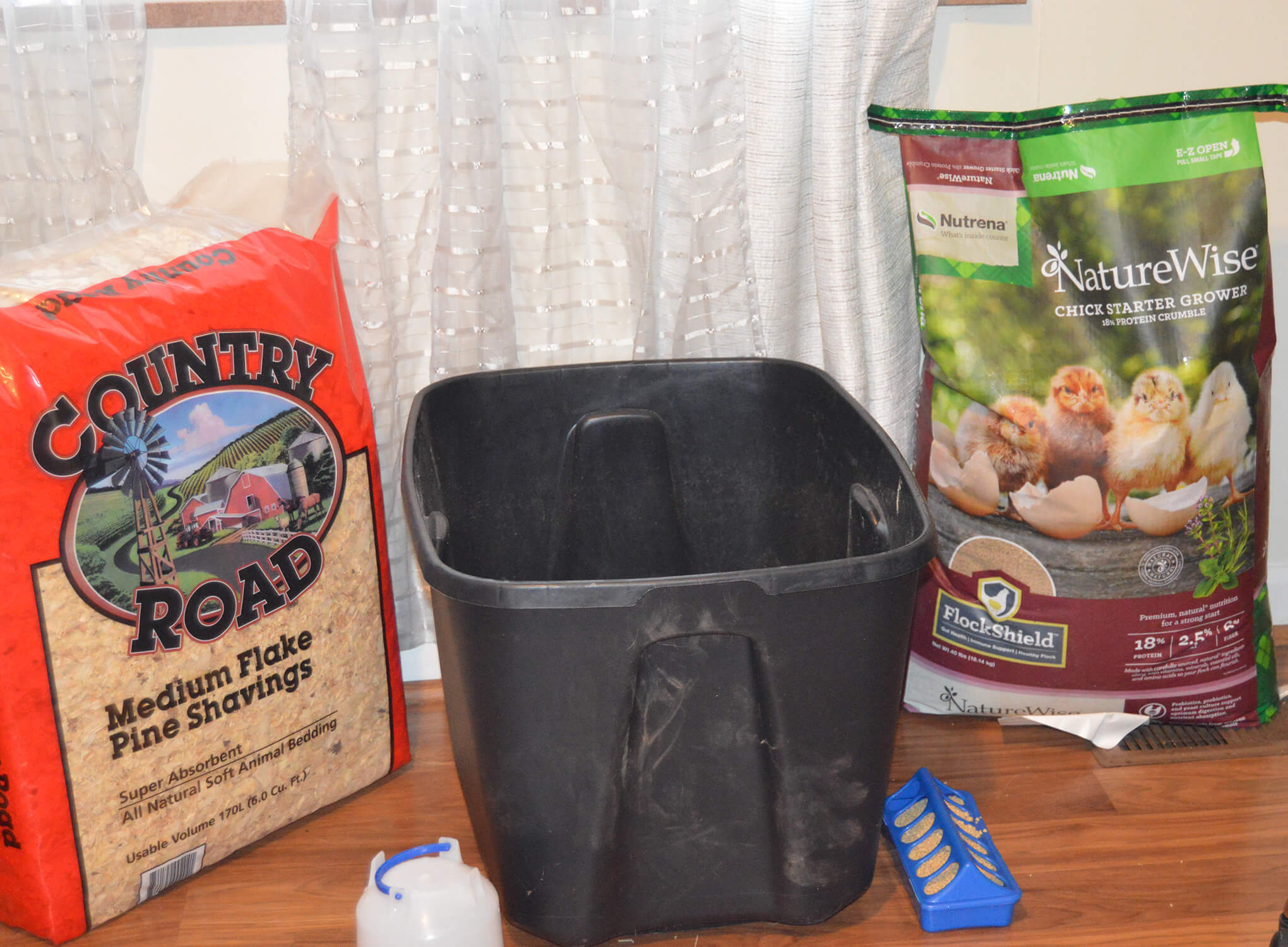 The initial housing setup of chicks including pine shaving bedding and chick feed.