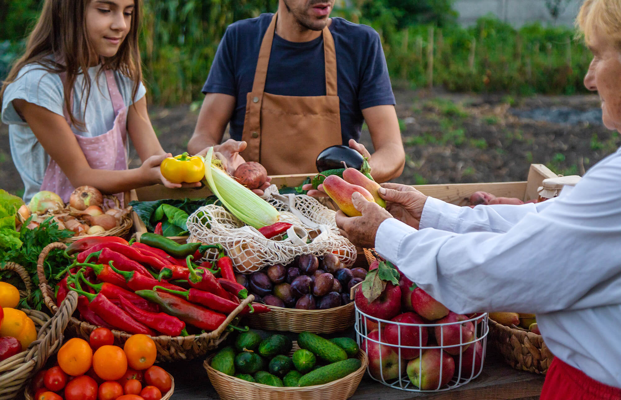 Urban Farming Benefits Suburban Families